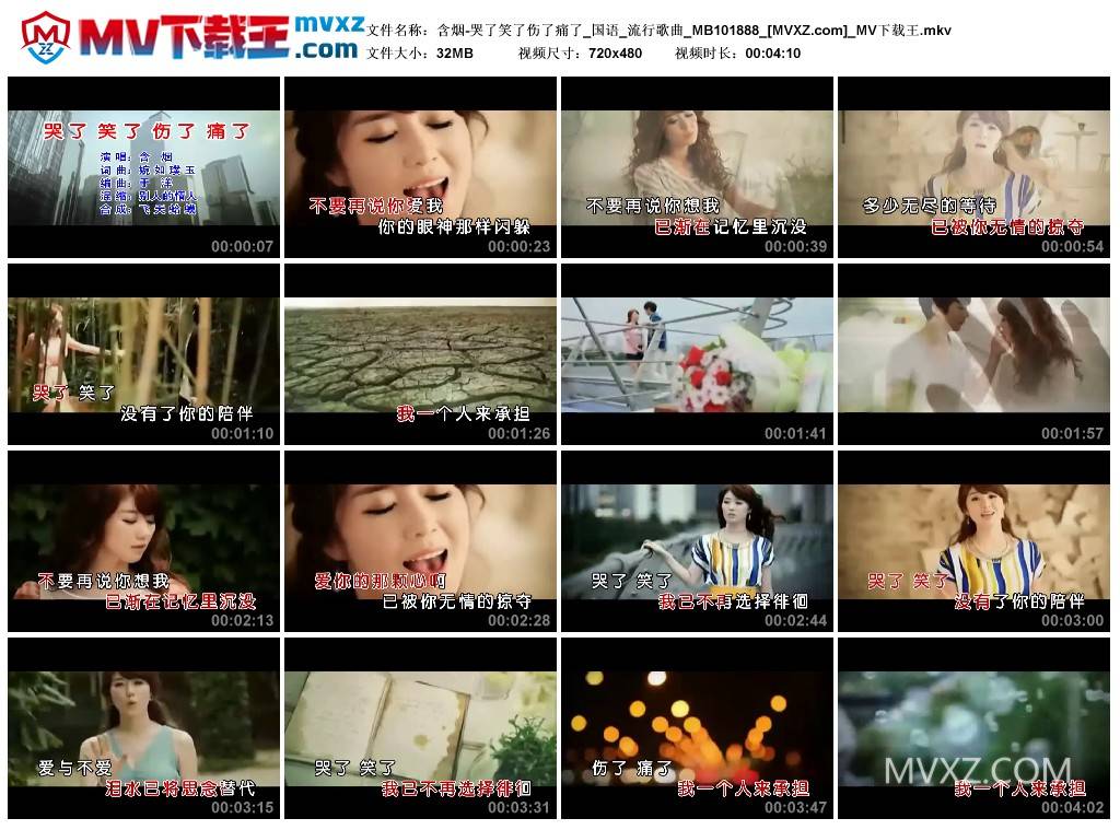 含烟-哭了笑了伤了痛了_国语_流行歌曲_MB101888